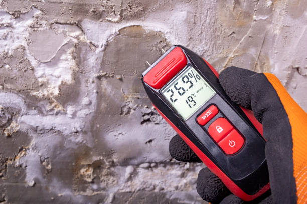 Best Insurance-Related Mold Remediation in Grant City, MO