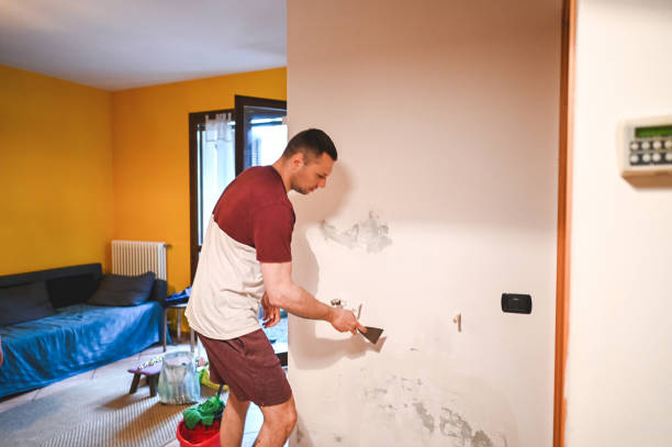 Best Mold Remediation for Specific Building Types in Grant City, MO